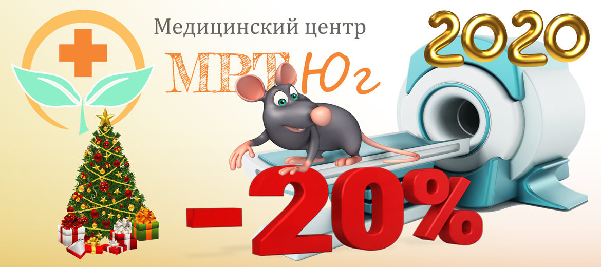 Новый год 2020 - 20%